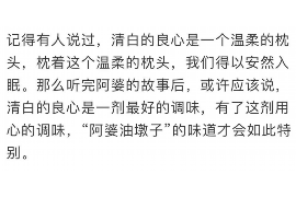 惠州遇到恶意拖欠？专业追讨公司帮您解决烦恼